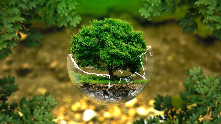 Texto Alternativo: El Hospital Universitario de Fuenlabrada celebra el Día Mundial del Medio Ambiente