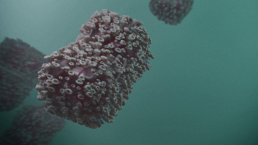 Texto Alternativo: La Dirección General de Salud Pública de la Comunidad de Madrid aporta información científica que avala mantener la utilización de la vacuna frente al mpox