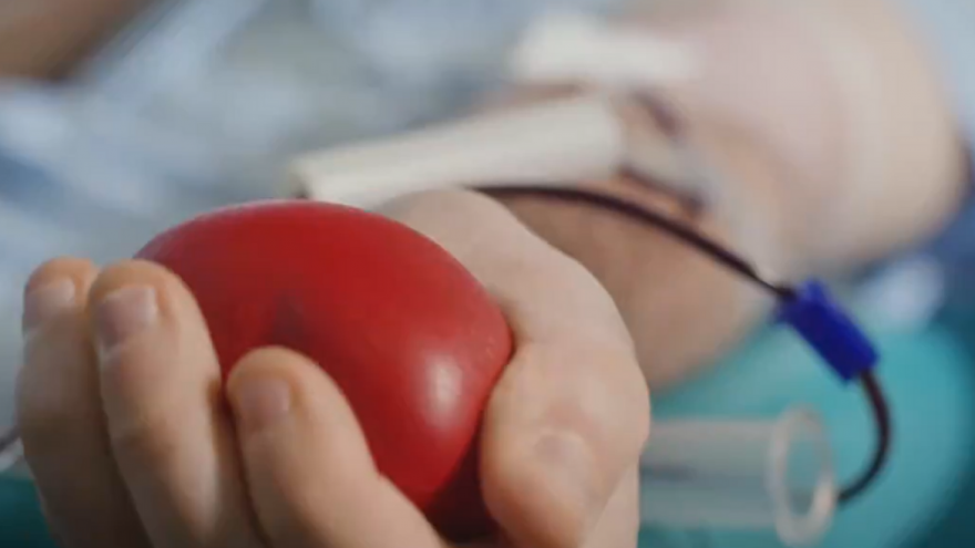 Texto Alternativo: El Hospital 12 de Octubre celebra un nuevo 'maratón' de donación de sangre con el objetivo de superar las 250 bolsas y ayudar a reforzar las reservas para el verano