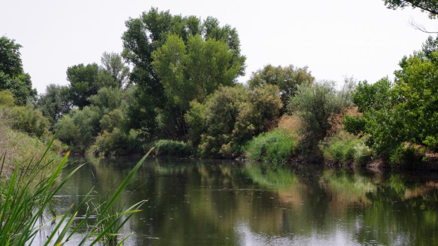 Texto Alternativo: La Comunidad de Madrid celebra el trigésimo aniversario del Parque Regional del Sureste conservando su importante biodiversidad