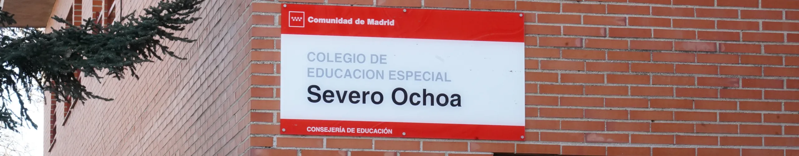 Texto Alternativo: Alcorcón impulsa de nuevo los campamentos urbanos para menores y jóvenes con discapacidad en el Centro de Educación Especial Severo Ochoa