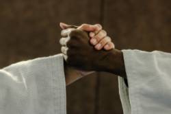 Texto Alternativo: Fin de semana deportivo en Móstoles gracias al Stage Judo y la Copa de España de Escalada