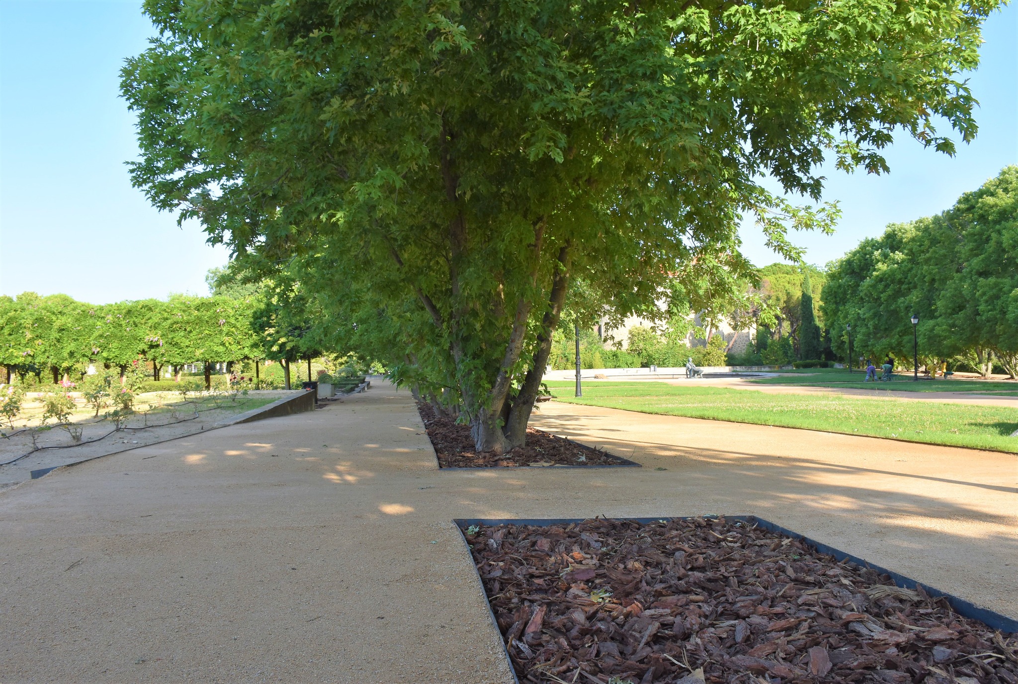Texto Alternativo: La primera fase de las obras de remodelación del Jardín Histórico mejoran el aspecto de esta zona emblemática del municipio