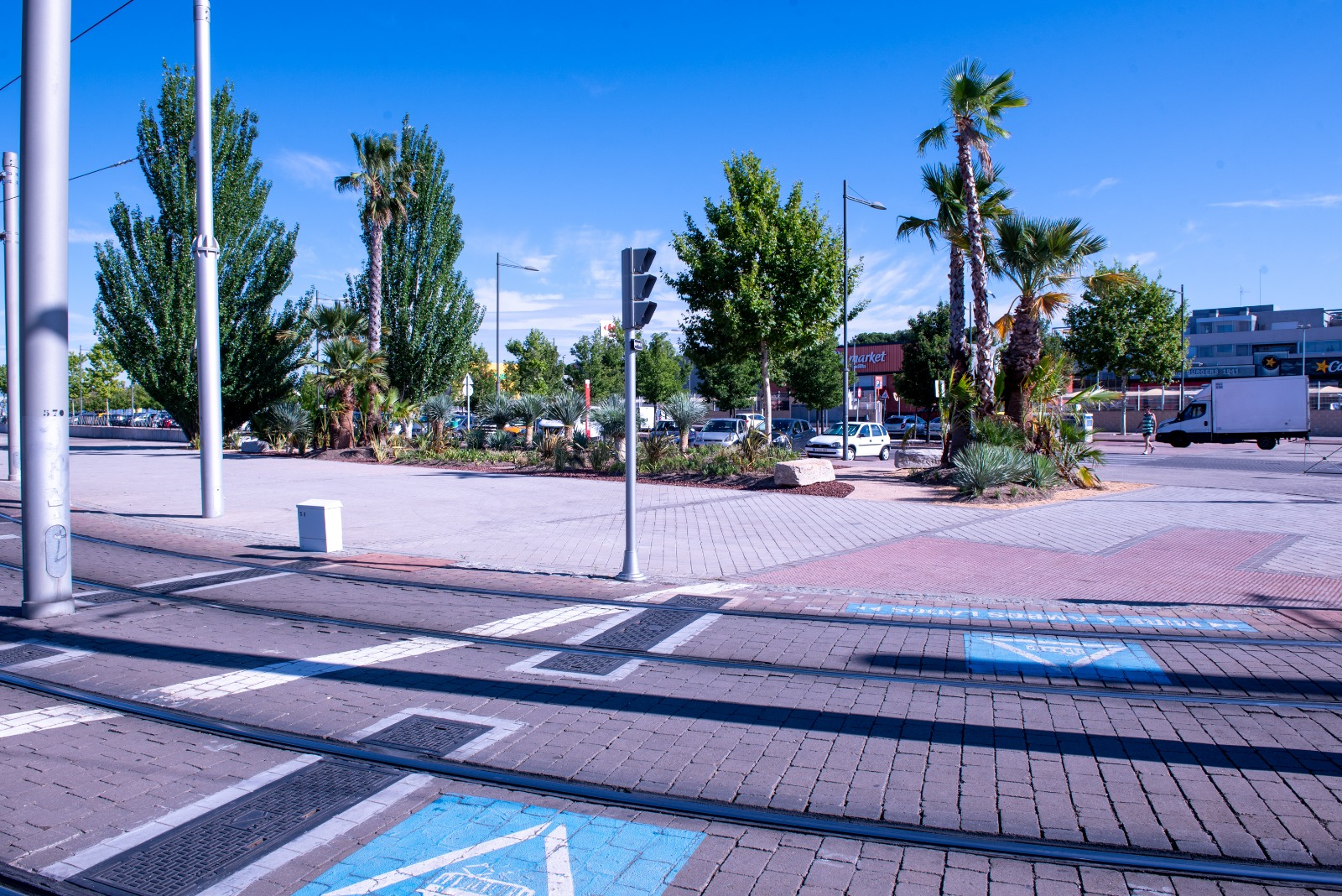 Texto Alternativo: El Ayuntamiento crea un xerojardín en Puerta de Boadilla, con palmeras y plantas de bajo consumo hídrico