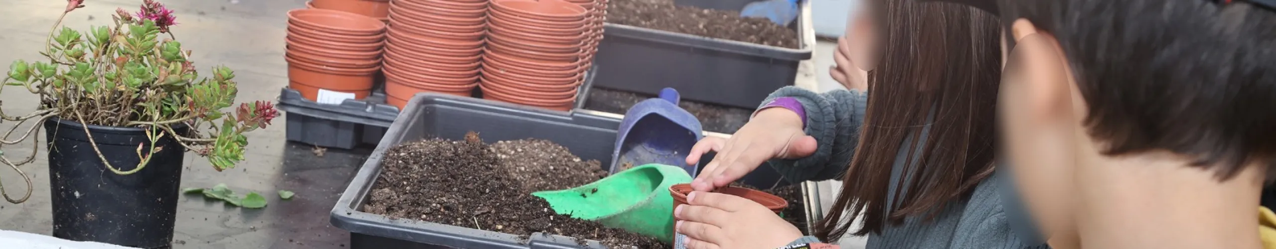 Texto Alternativo: Un total de 475 niños y niñas participan en las actividades impulsadas desde el Centro de Recursos Naturales Quercus de Alcorcón