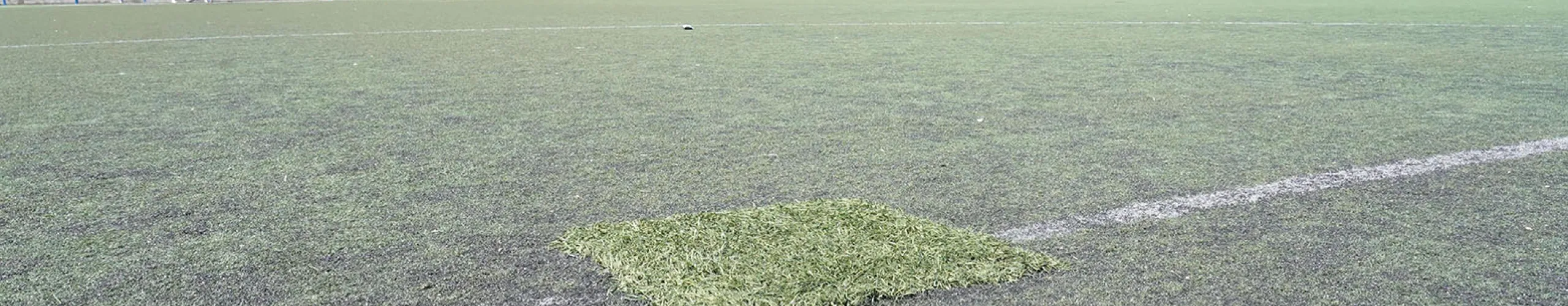 Texto Alternativo: Alcorcón abordará la necesaria sustitución del césped de los campos de fútbol Alfredo Cenarriaga ante el retraso de la ejecución del PIR 2016-2019