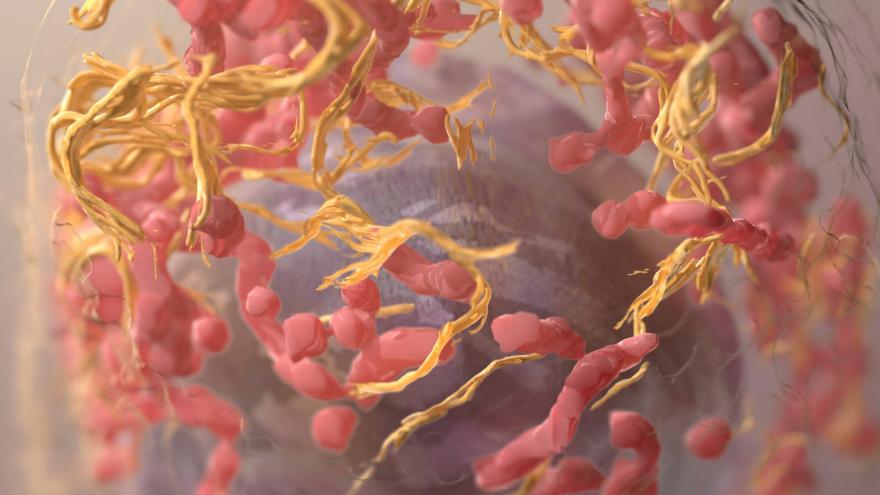 Texto Alternativo: El IRSST ayuda a prevenir el cáncer de origen laboral