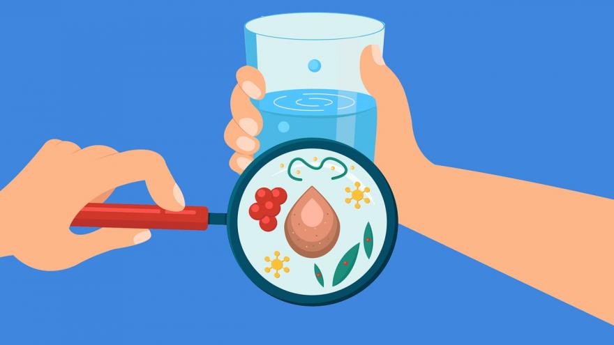 Texto Alternativo: El Hospital público Príncipe de Asturias participa en un proyecto de nuevos fármacos para atacar un tipo de bacterias resistentes a los antibióticos