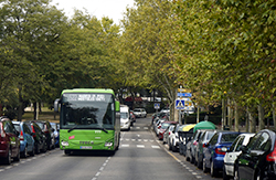 Texto Alternativo: Varias líneas de autobuses cambian desde hoy su recorrido por las obras en la calle Tulipán