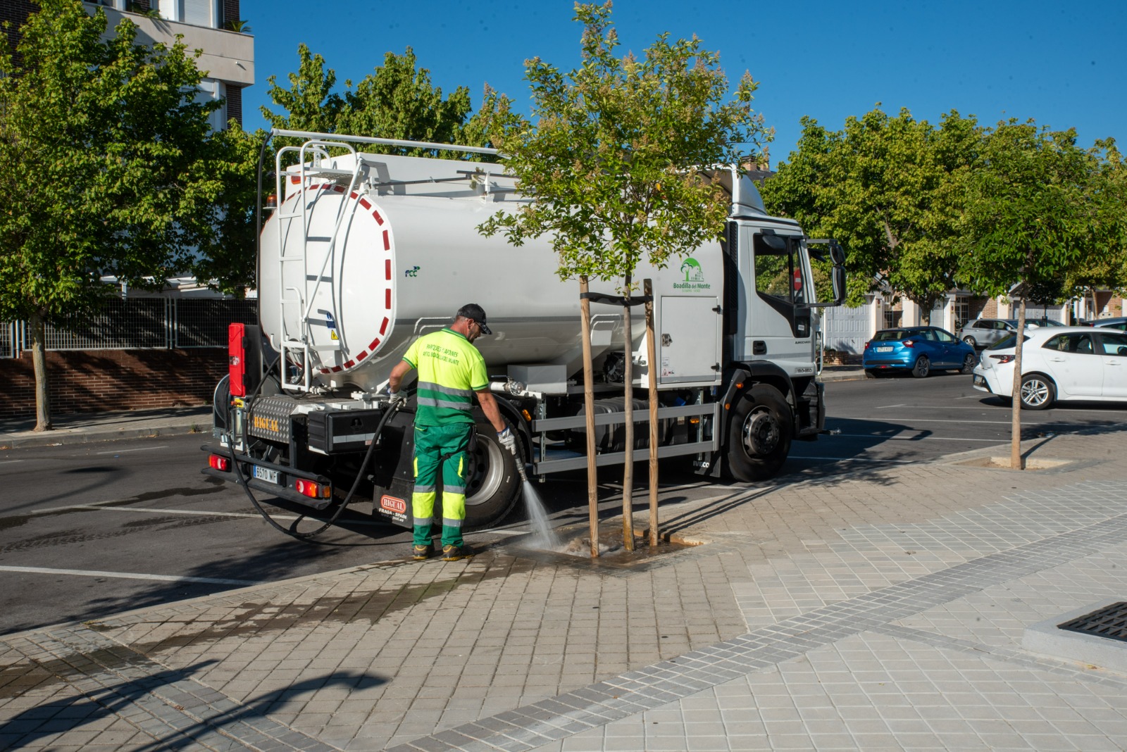 Texto Alternativo: El Ayuntamiento refuerza el riego en verano para facilitar la supervivencia del arbolado joven
