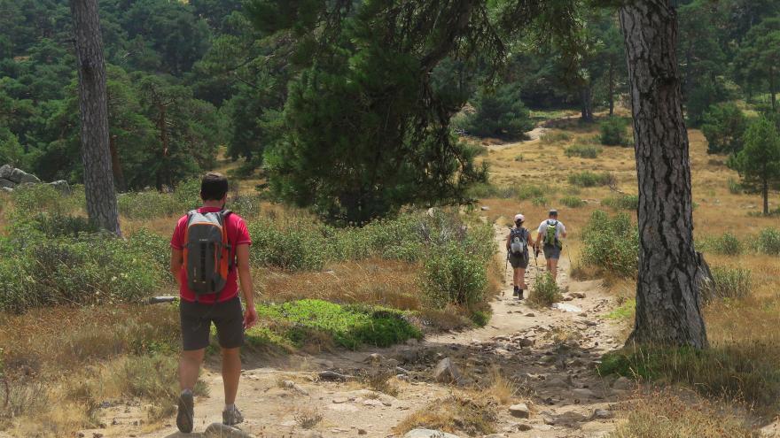 Texto Alternativo: La Comunidad de Madrid estrena cuatro nuevas Rutas Verdes para disfrutar de la naturaleza y la historia de la región