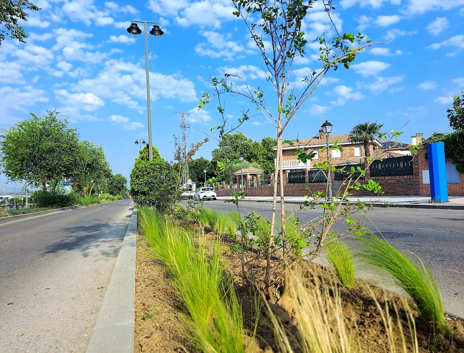 Texto Alternativo: Finalizan los trabajos de plantación en uno de los parterres de la Avenida Príncipe de Asturias