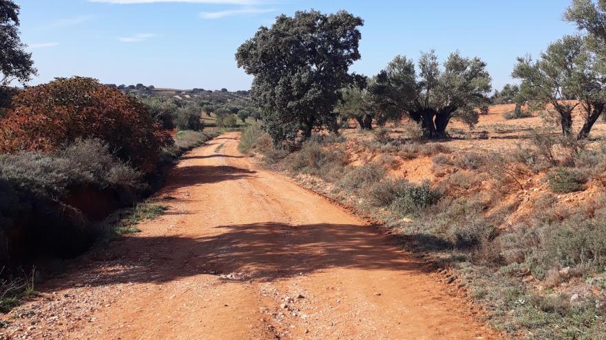 Texto Alternativo: La Comunidad de Madrid arregla casi 90 kilómetros de caminos rurales en 17 municipios de menos de 10.000 habitantes