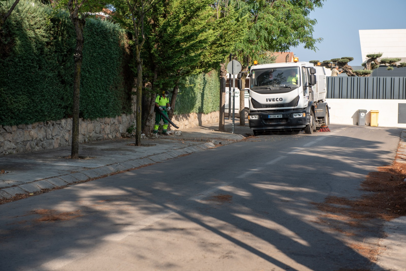 Texto Alternativo: El Ayuntamiento refuerza el barrido de pinocha en las urbanizaciones históricas
