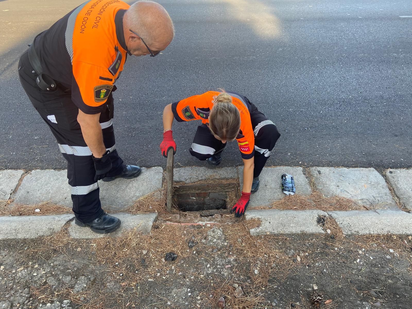 Texto Alternativo: Voluntarios de Protección Civil Villaviciosa de Odón revisan los imbornales donde se suelen acumular balsas de agua con las lluvias fuertes