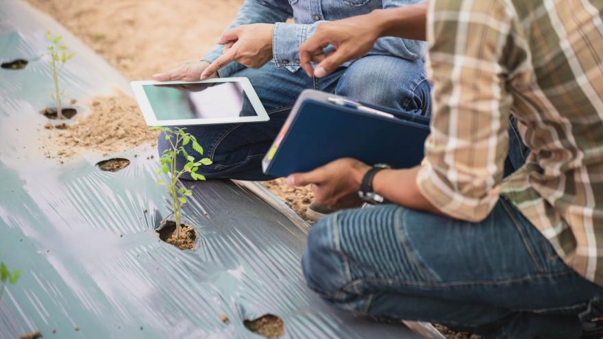 Texto Alternativo: Díaz Ayuso avanza nuevas ayudas para la digitalización del sector primario y facilitar el relevo generacional en el campo madrileño