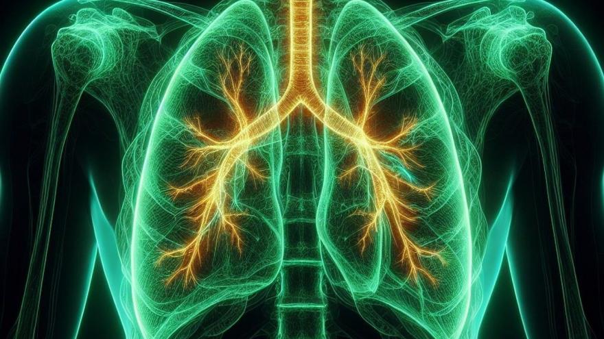 Texto Alternativo: El Hospital público de La Princesa acoge una jornada para pacientes con Fibrosis Pulmonar en la semana internacional de esta enfermedad