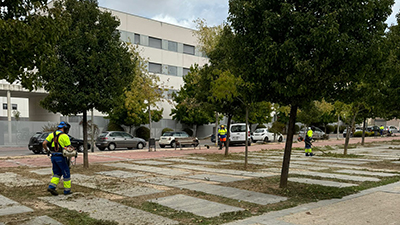 Texto Alternativo: El Ayuntamiento de Móstoles refuerza la limpieza en el PAU-4 dentro del plan intensivo barrio a barrio