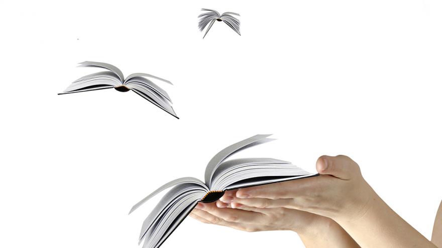 Texto Alternativo: Celebración del Día de las Escritoras en bibliotecas de la Comunidad de Madrid.