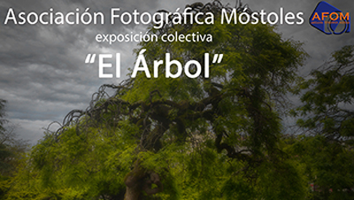 Texto Alternativo: El Museo de la Ciudad acoge la exposición fotográfica “El Árbol” y la actuación musical de “Los Revoltosos”