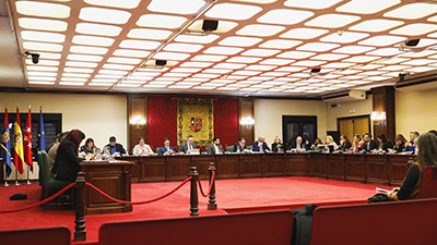 Texto Alternativo: El pleno acuerda una Declaración Institucional por el Día Internacional de las Personas Cuidadoras y otra por el Día del TDAH