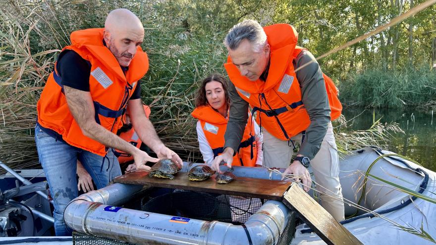 Texto Alternativo: La Comunidad de Madrid retira más de 400 ejemplares de especies invasoras del Parque Regional del Sureste