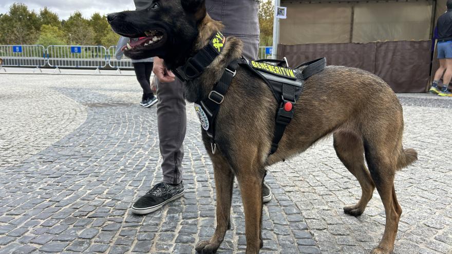 Texto Alternativo: La Comunidad de Madrid duplica los nuevos hogares para animales de compañía en su XIX Salón de la Adopción