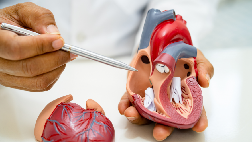 Texto Alternativo: El Hospital público Severo Ochoa aborda en un estudio la mala calidad del sueño en pacientes con enfermedad cardiovascular