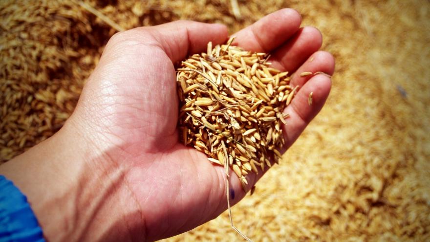 Texto Alternativo: La Comunidad de Madrid aumenta un 73% sus ayudas a la contratación de seguros agrarios para riesgos naturales o enfermedades contagiosas