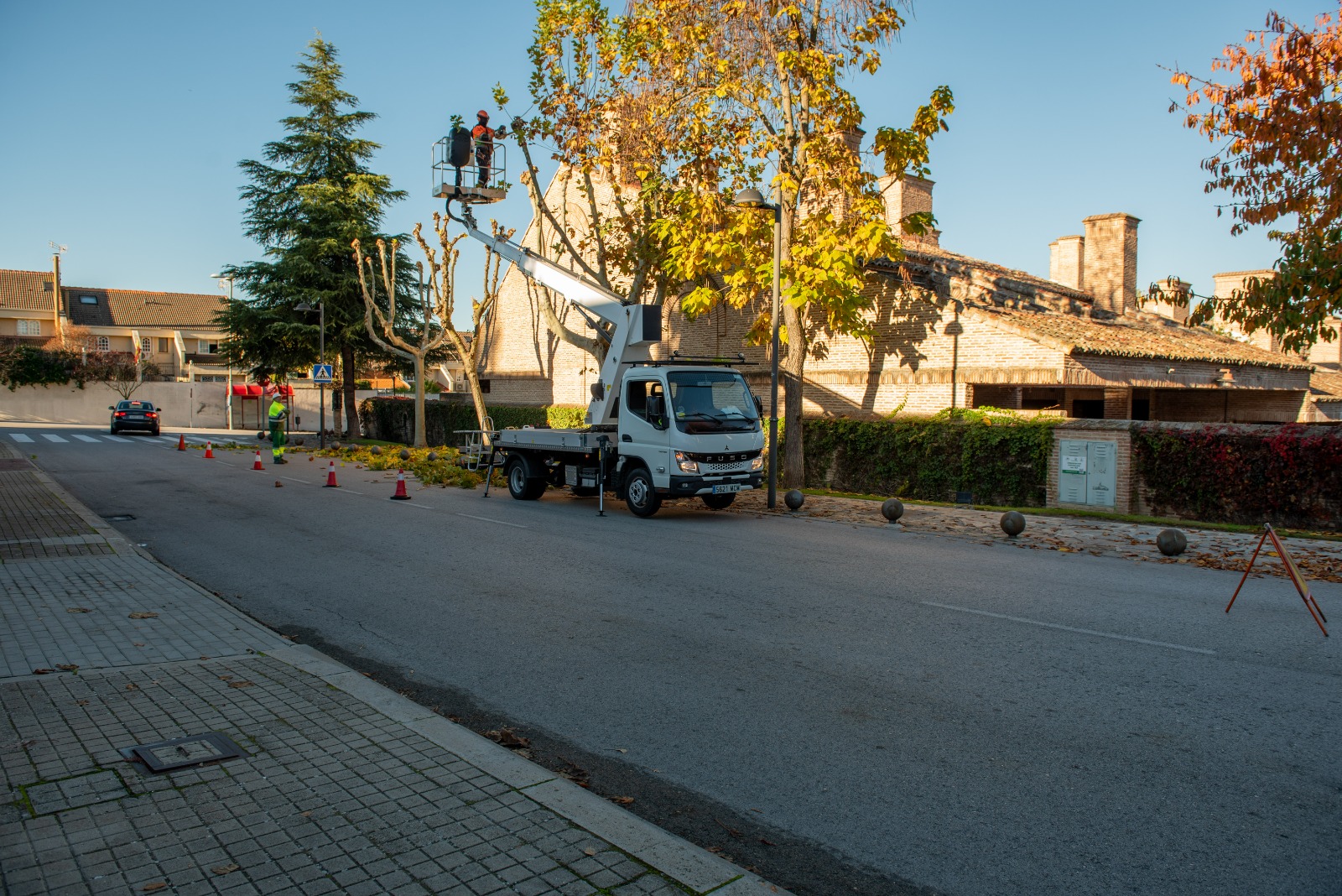 Texto Alternativo: Comienza el plan anual de poda sobre 5200 árboles en distintas zonas de Boadilla