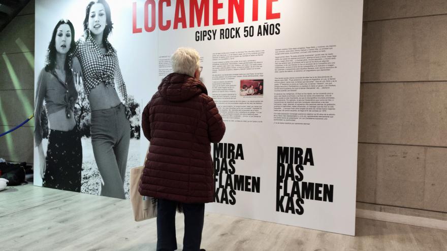 Texto Alternativo: La Comunidad de Madrid celebra a ritmo de Las Grecas el Día del Flamenco en el Centro Cultural Pilar Miró