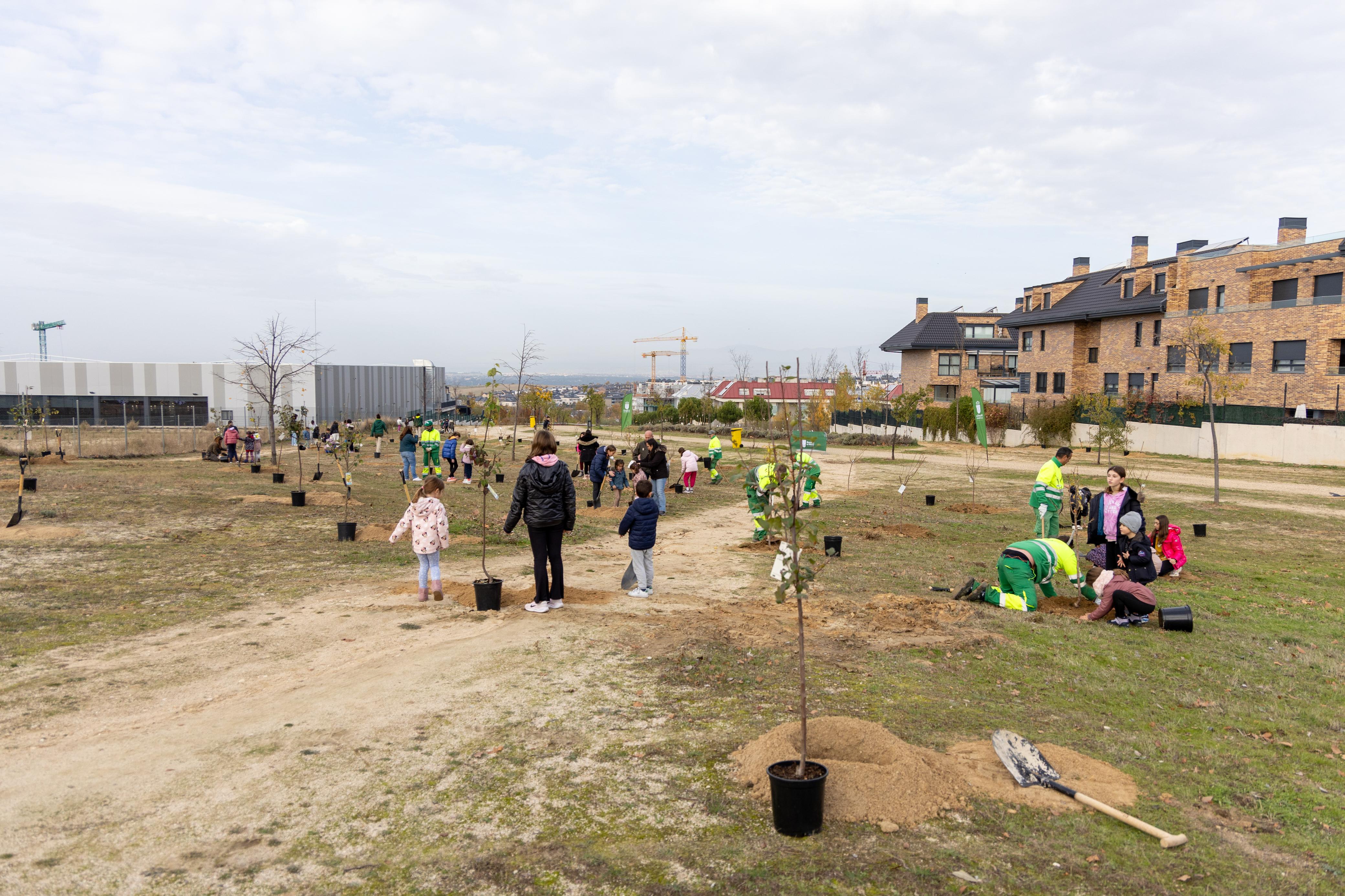 Texto Alternativo: Alumnos del CEIP Federico García Lorca participan en una plantación de árboles frutales en la zona de Valenoso