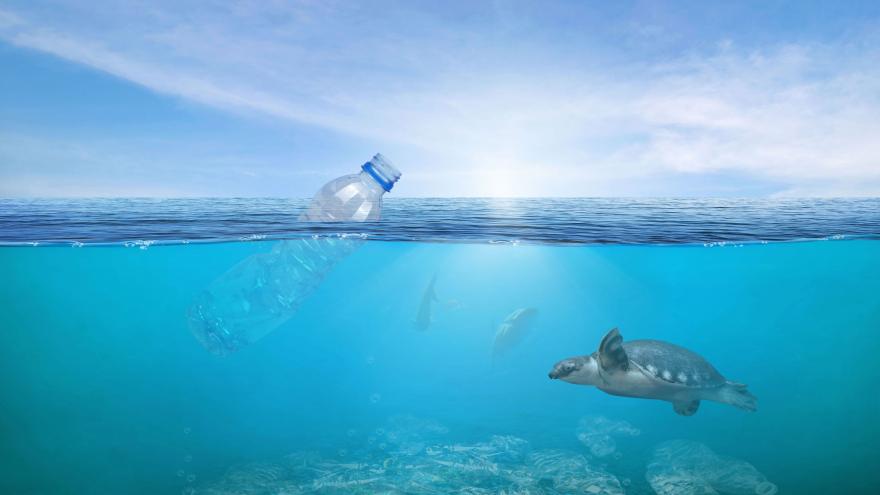 Texto Alternativo: La Comunidad de Madrid estudia nuevos materiales capaces de degradar microplásticos presentes en el agua