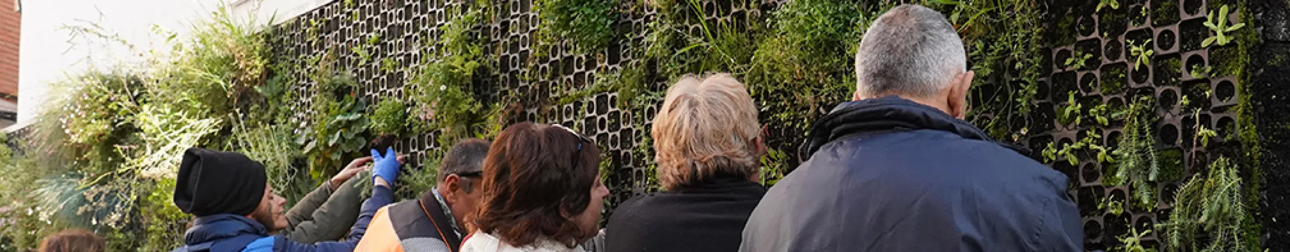 Texto Alternativo: ‘El verde me sienta bien’, replantación del Jardín Vertical ubicado en el Centro de Mayores Adolfo Suárez para celebrar el Día Internacional de las Personas con Discapacidad