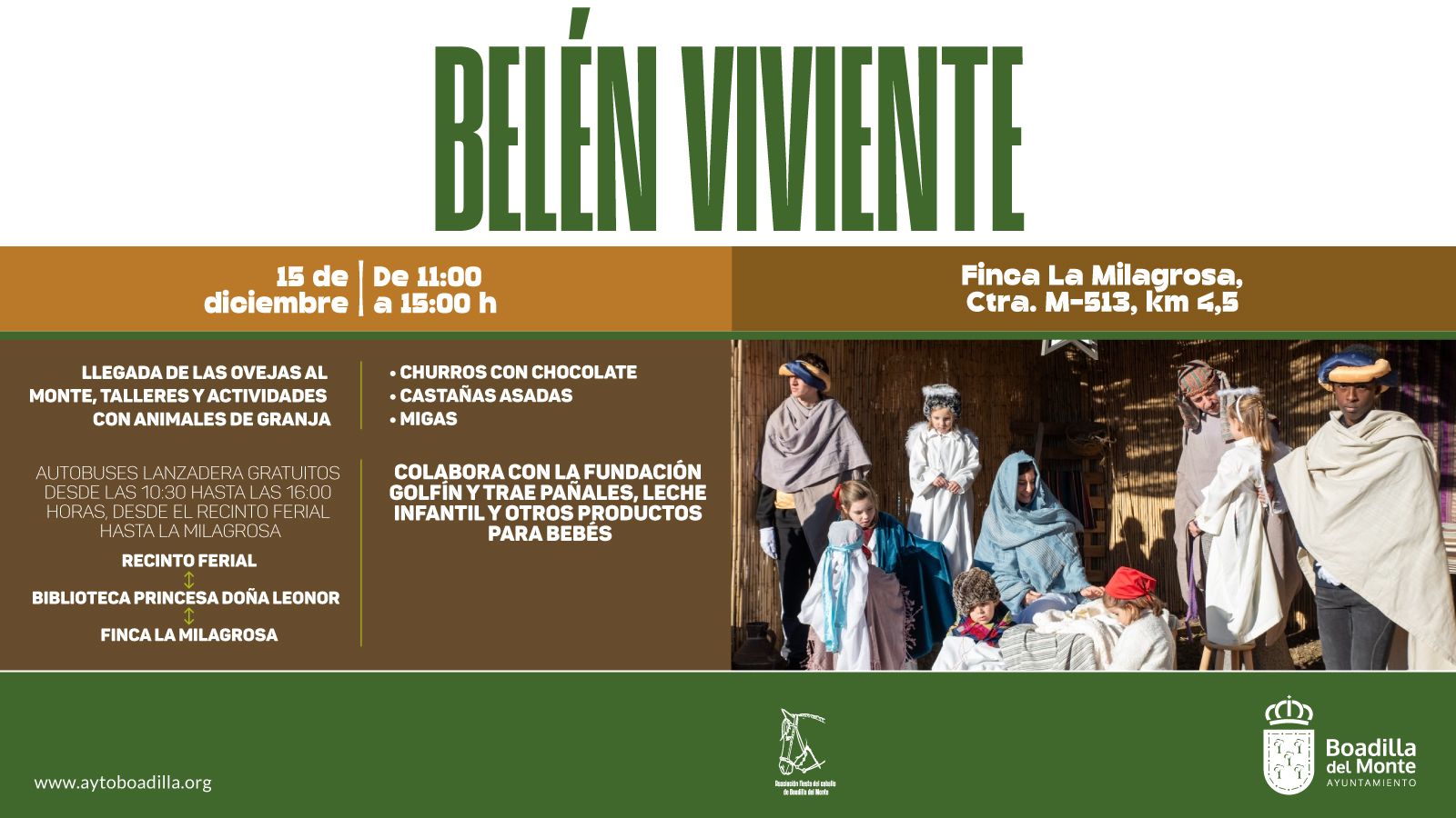 Texto Alternativo: Las ovejas vuelven a la finca La Milagrosa para acompañar al belén viviente el próximo domingo