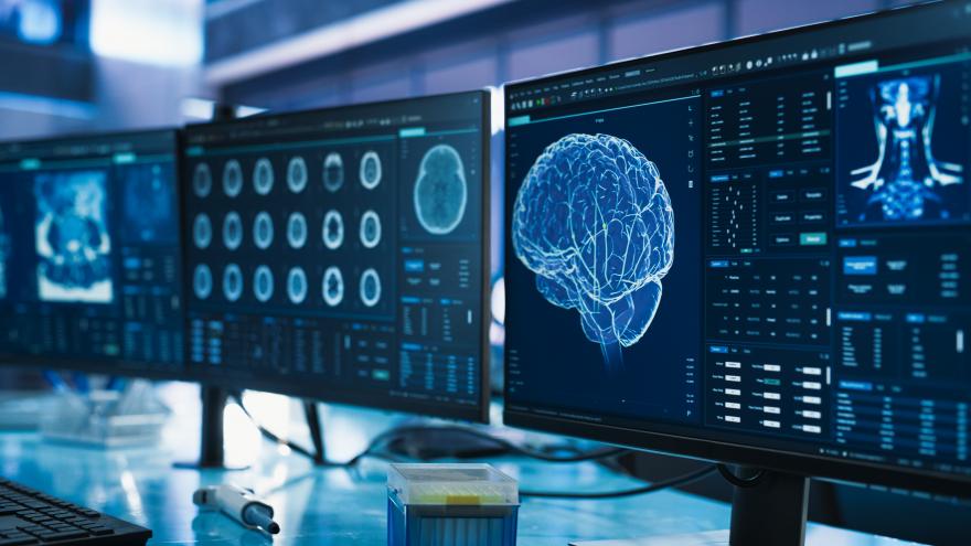 Texto Alternativo: La Comunidad de Madrid crea el Consorcio Centro Nacional de Neurotecnología para el estudio del cerebro humano