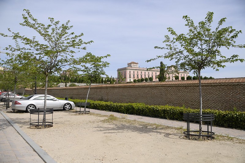 Texto Alternativo: El arbolado ocupa el 30,8 % de la superficie de Boadilla, según un estudio del Politécnico di Torino y la UPM