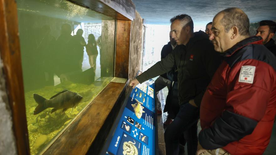 Texto Alternativo: La Comunidad de Madrid inicia un proyecto para la recuperación de la trucha común en el Parque Nacional de la Sierra de Guadarrama