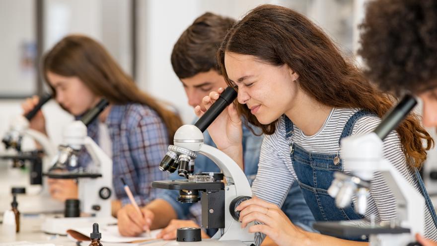 Texto Alternativo: La Comunidad de Madrid estrena Global Scholars Madrid con 1.025 alumnos de 22 centros educativos bilingües