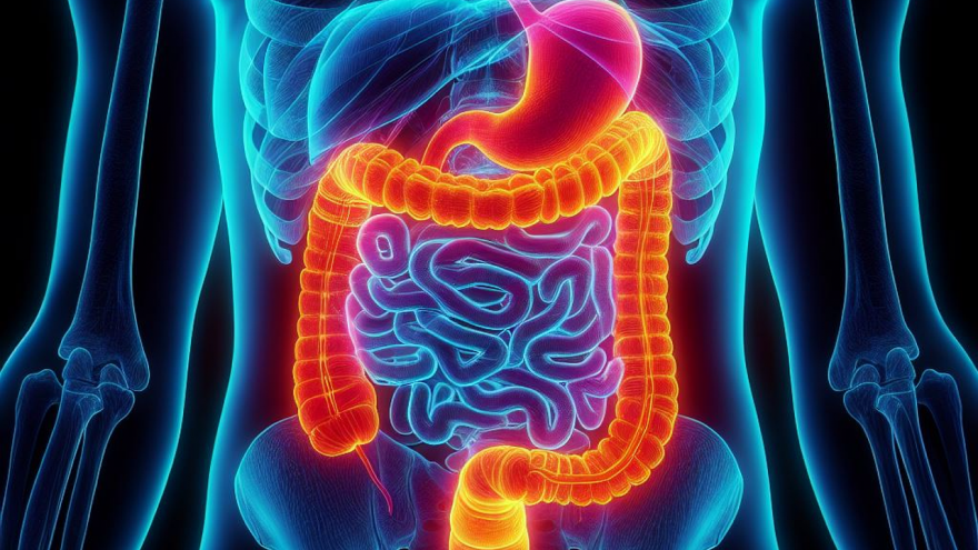 Texto Alternativo: El Hospital público Ramón y Cajal, punto de encuentro internacional para tratar el cáncer digestivo precoz