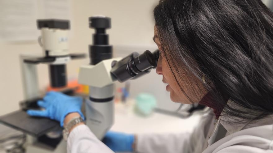 Texto Alternativo: El Hospital público 12 de Octubre busca tratamiento para la pérdida de visión de pacientes con neuropatías ópticas a través de nanopartículas que transportan fármacos