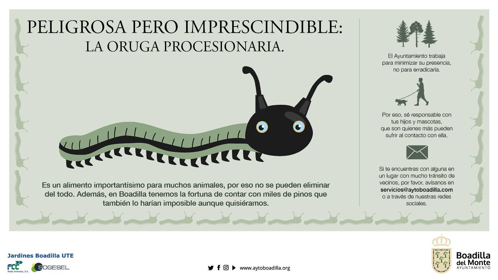 Texto Alternativo: El Ayuntamiento intensifica el control de la oruga procesionaria en los pinos de la vía pública