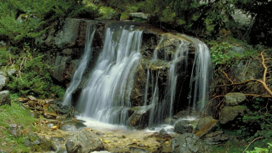Texto Alternativo: La Comunidad de Madrid invierte en ayudas para dinamizar el entorno del Parque Nacional de la Sierra de Guadarrama