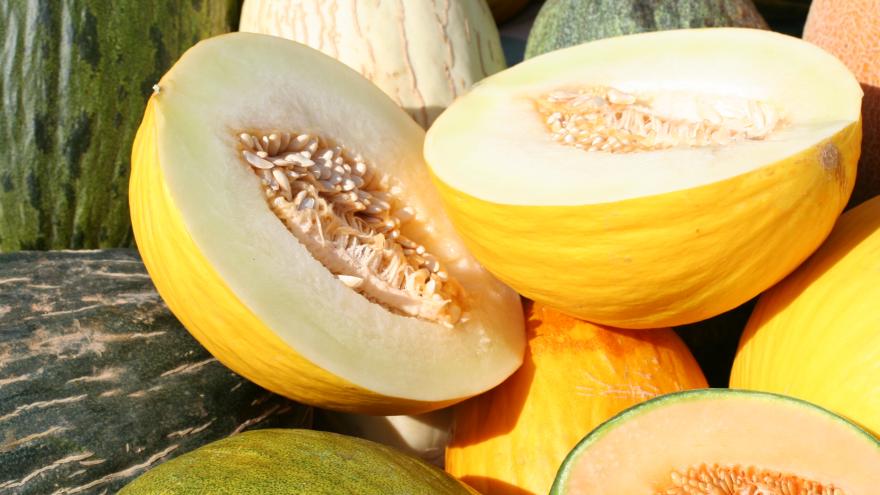 Texto Alternativo: La Comunidad de Madrid estudia aprovechar los subproductos de sandía y melón como ingredientes de nuevos lácteos saludables