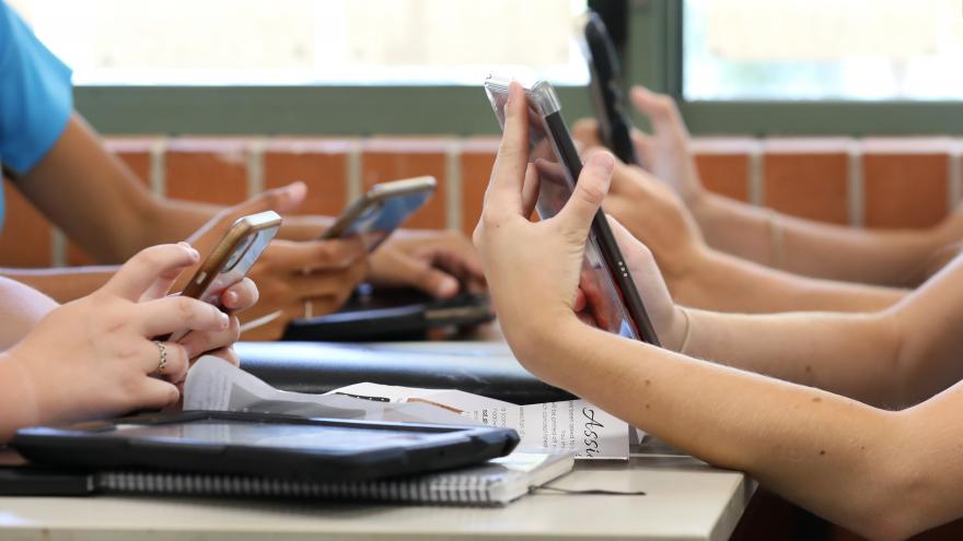 Texto Alternativo: La Comunidad incorpora a la plataforma Madrid Aula Digital cursos gratuitos de formación en las tecnologías más demandadas por el mercado