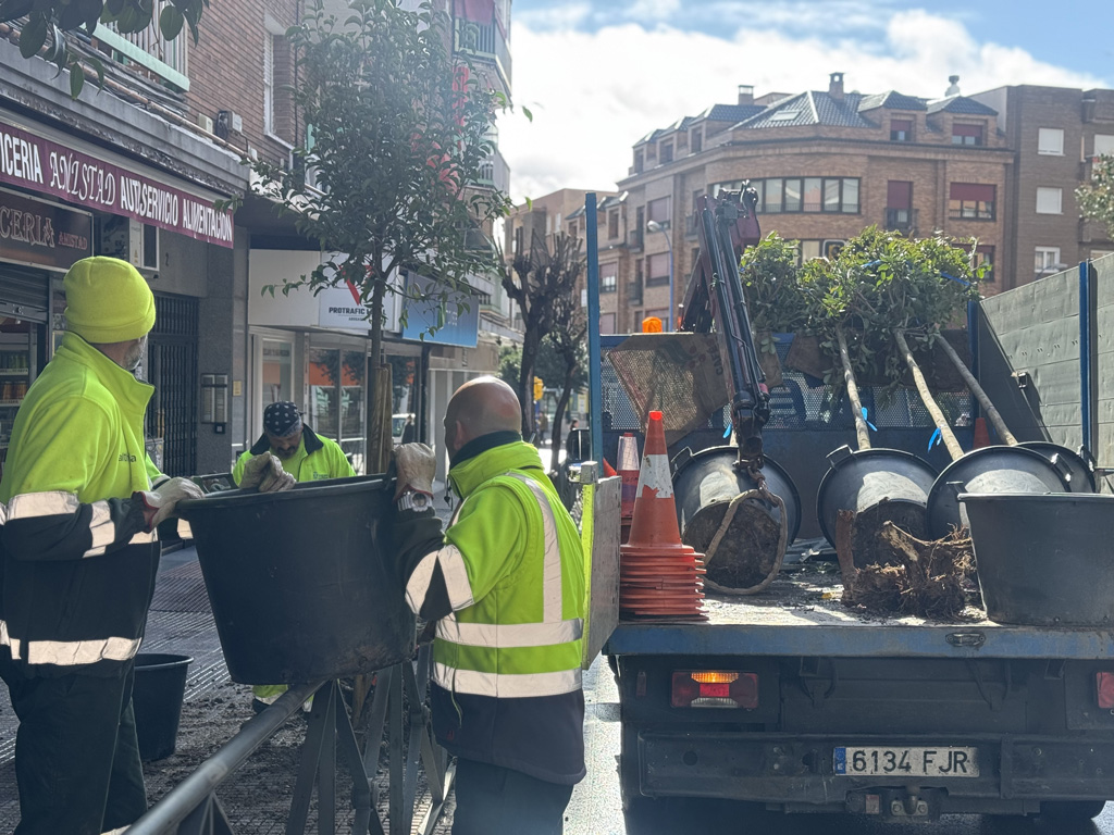 Texto Alternativo: El Ayuntamiento de Leganés planta unos 700 nuevos árboles en las calles y parques del municipio