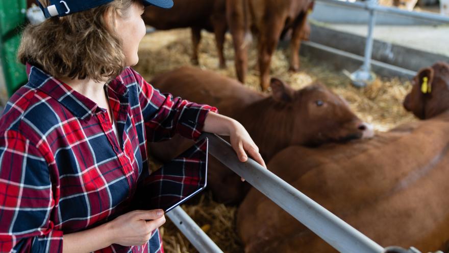 Texto Alternativo: La Comunidad de Madrid inicia un programa para asesorar a mujeres rurales en la creación de empresas y facilitar su acceso al mercado laboral