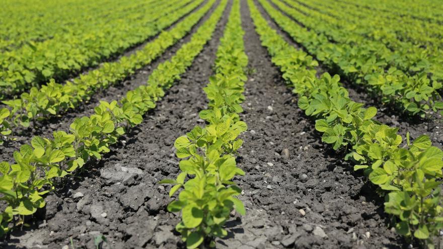Texto Alternativo: La Comunidad de Madrid destina 4,2 millones en ayudas para el fomento de la inversión en industrias agroalimentarias