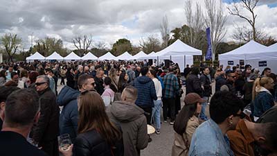 Texto Alternativo: Más de 3.000 personas visitan la I Feria del Vino y del Producto Local de Móstoles