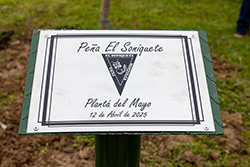 Texto Alternativo: Las peñas de Móstoles conmemoran los “quintos de mayo” con el tradicional traslado de un árbol a Parque Cuartel Huerta